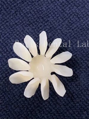 comprare Vene di porcellana dentale resistente alle macchie Alta resistenza per risultati ottimali online manufacture
